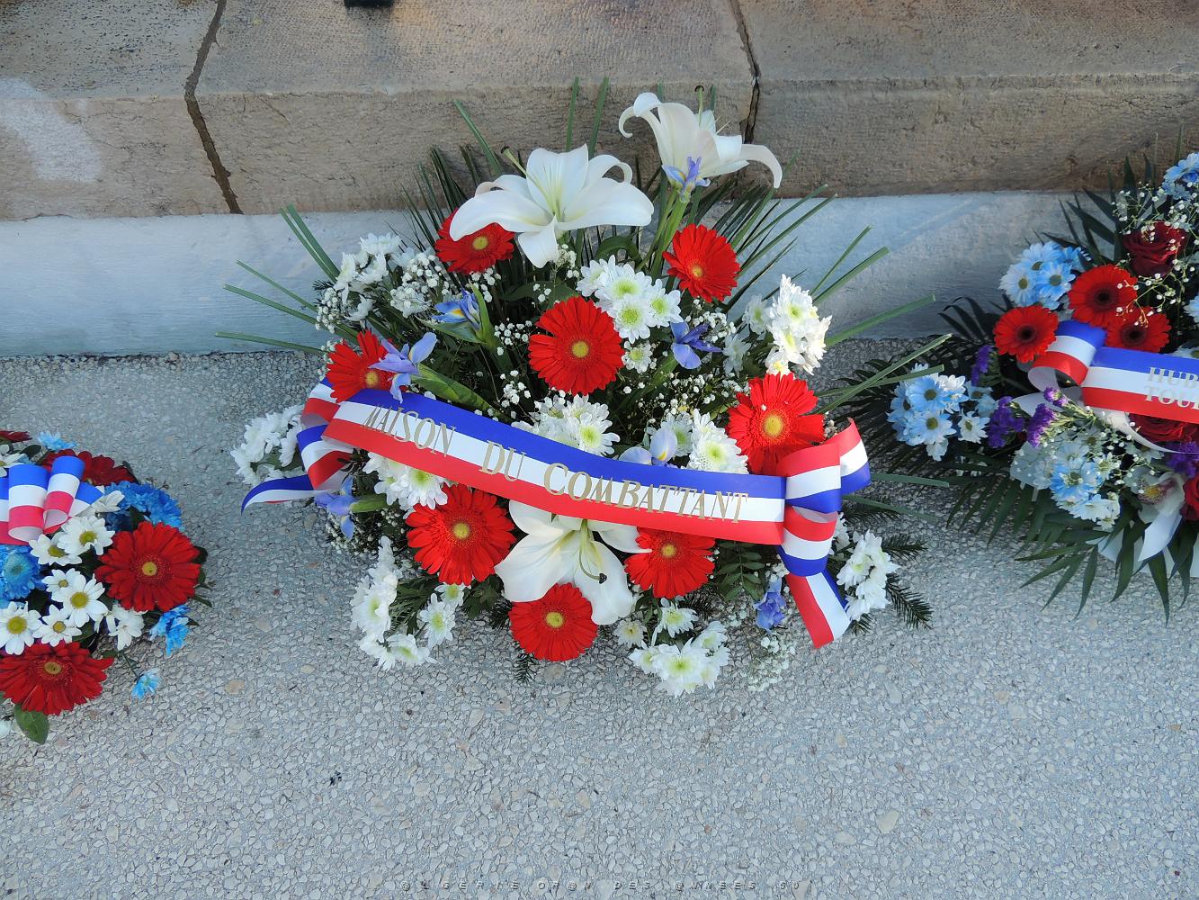 2018 12 05 TOULON JOURNEE COMMEMORATIVE DES COMBATS EN AFN (7).JPG -           